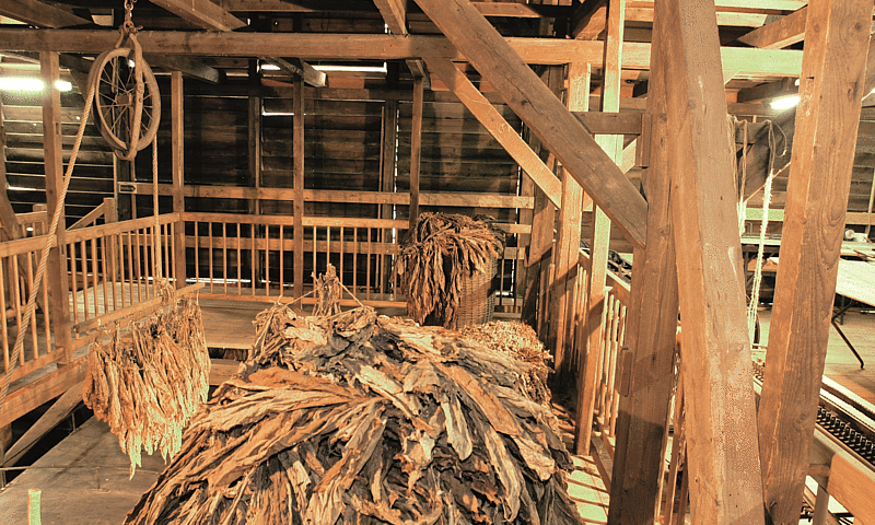 Tabak Mahlberg © Stadt Mahlberg