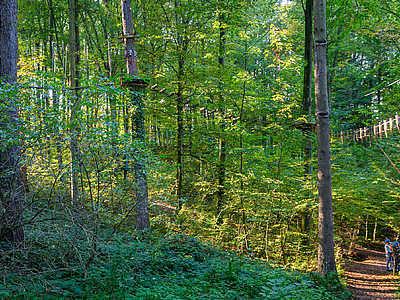 Bombach © Stadt Kenzingen