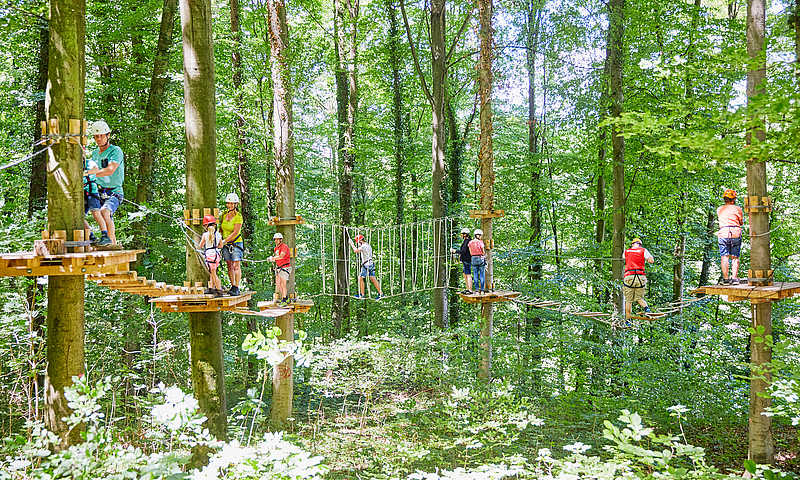 Kenzingen Abenteuer Wald2 © Abenteuer im Wald