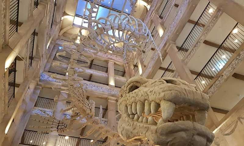 Kronasar Meeresschlange © Europa-Park