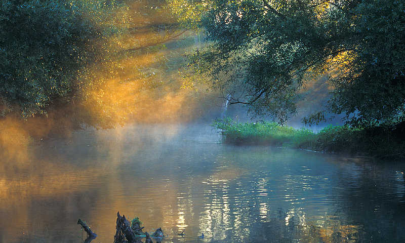 Kappel-Grafenhausen Taubergießen