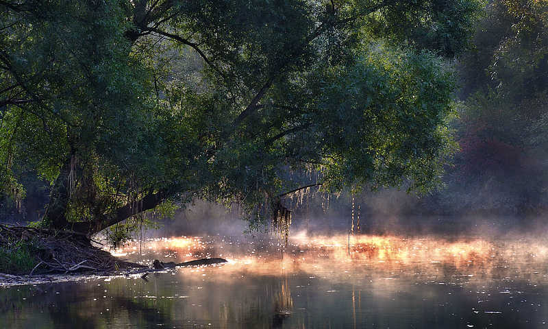 Kappel-Grafenhausen, dans le Taubergiessen