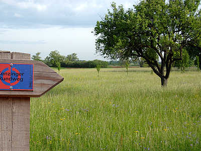 Nature à Kenzingen: boucle de Kenzingen © Heinrich Bueb