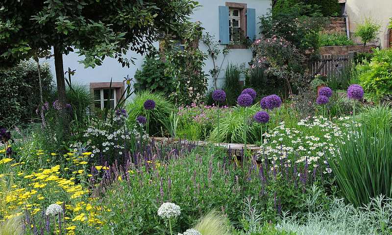 Vergers à Herbolzheim © Gemeinde Herbolzheim