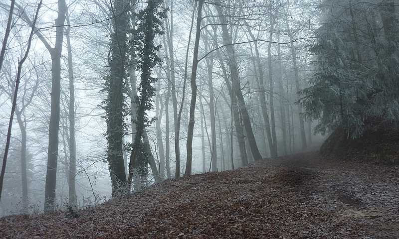 Herbolzheim Rauhnacht