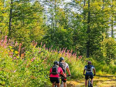 Radtour © Alexander Rochau