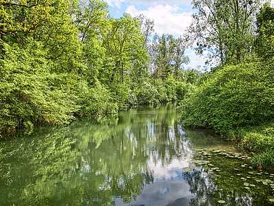 Taubergießen © Gemeinde Rust