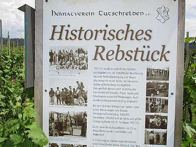 Vignes à Herbolzheim © Gemeinde Herbolzheim