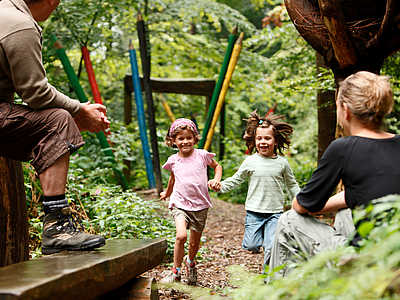 Freiamt Walderlebnis- und Waldsportpfad © Tourist-Information Freiamt