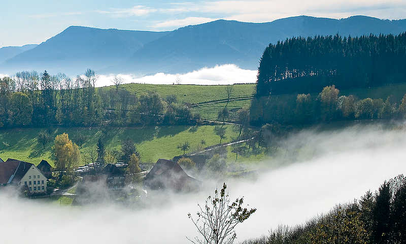 Freiamt Wandern © Peter Klüber, pk-Verlag
