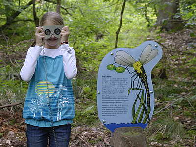 Sentier au bord de l'eau du Sulzbachtal à Lahr