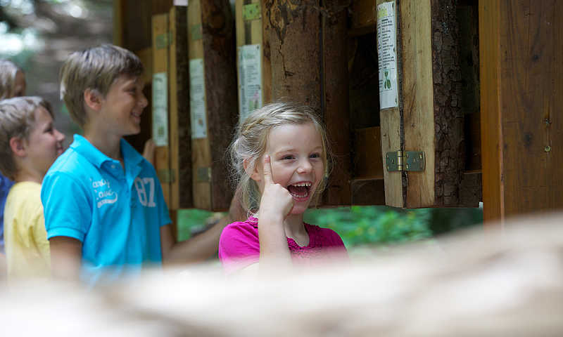Schuttertal Lehrpfad Kinder © Klumpp
