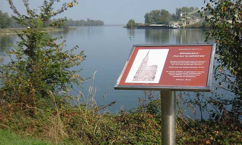 Vue sur la cathédrale de Meissenheim, au bord du Rhin